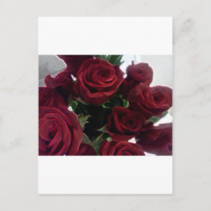 CARTE POSTALE BEAUX ROSES ROUGES