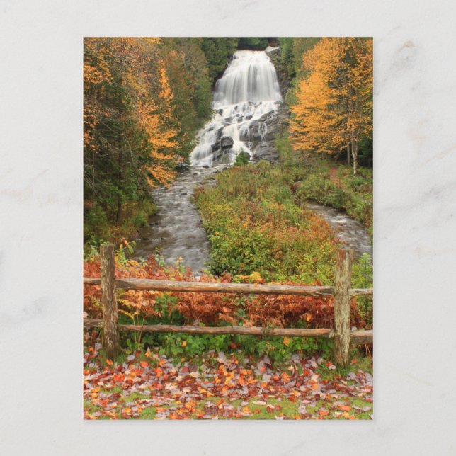 Carte Postale Beaver Brook Falls Colebrook (Devant)