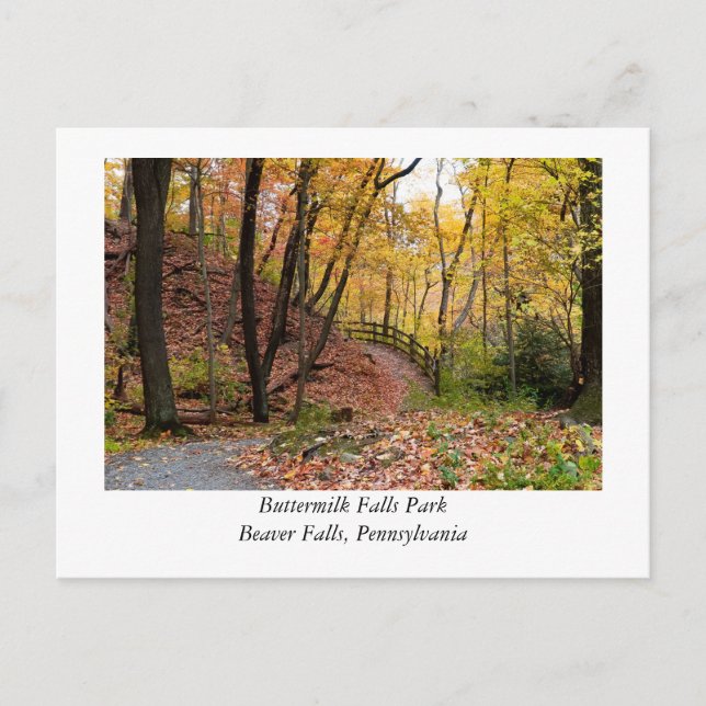 Carte Postale Beaver Falls Pennsylvanie (Devant)