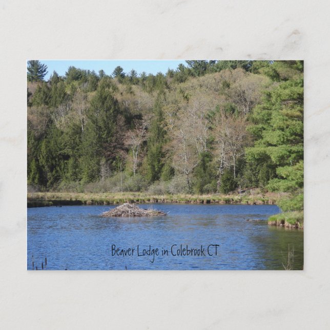 Carte Postale Beaver Lodge à COLEBROOK, CT (Devant)