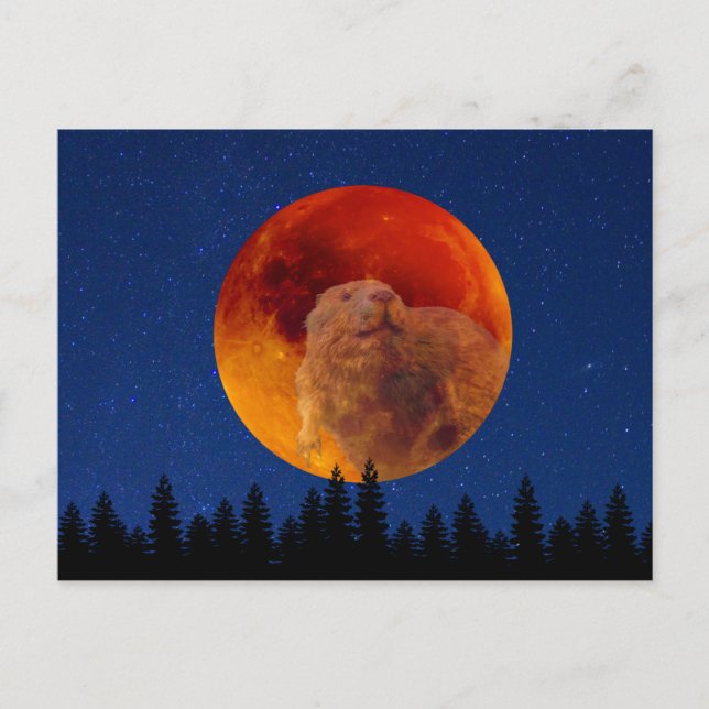 Carte Postale Beaver Moon en novembre (Devant)