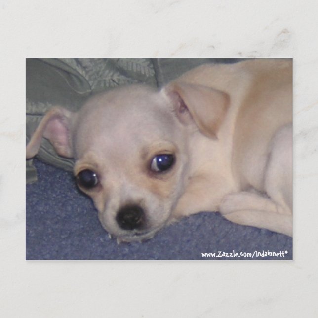 Carte postale bébé. (Devant)