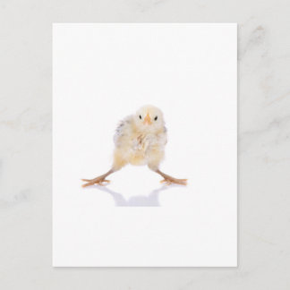 Carte Postale Bébé