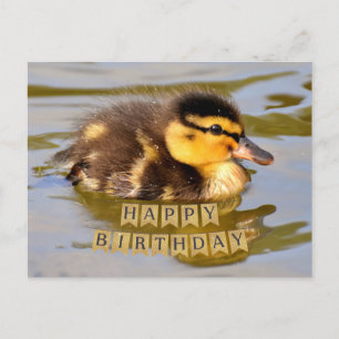 Carte Postale Bébé adorable canard dans l'étang Joyeux anniversa