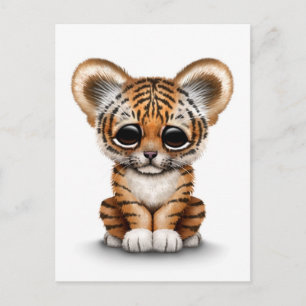 Carte Postale Bébé adorable Tiger Cub sur blanc