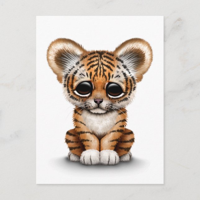 Carte Postale Bébé adorable Tiger Cub sur blanc (Devant)