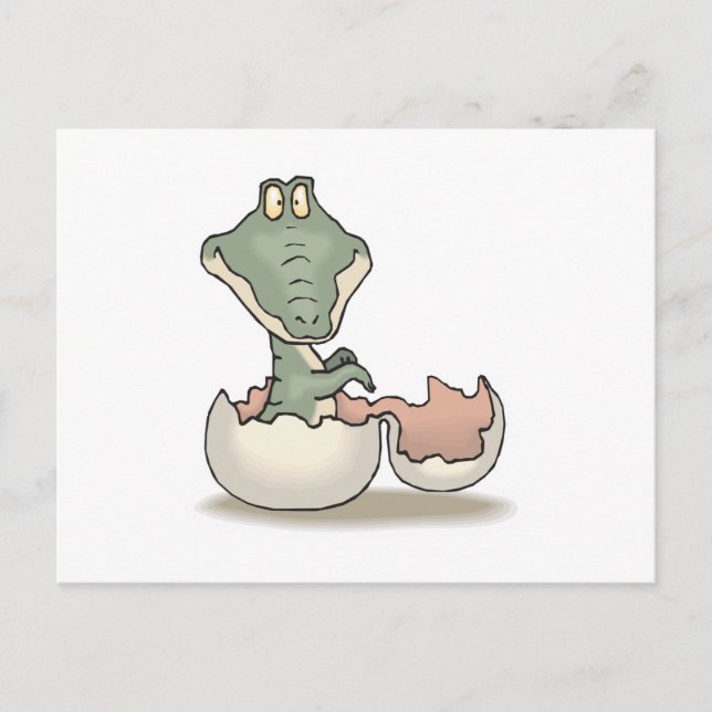 Carte Postale bébé alligator mignon qui éclot (Devant)