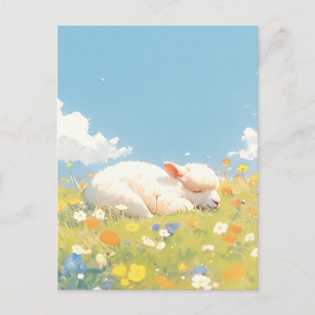 Carte Postale Bébé Alpaga Blanc Endormi dans une Prairie de Fleu (Devant)