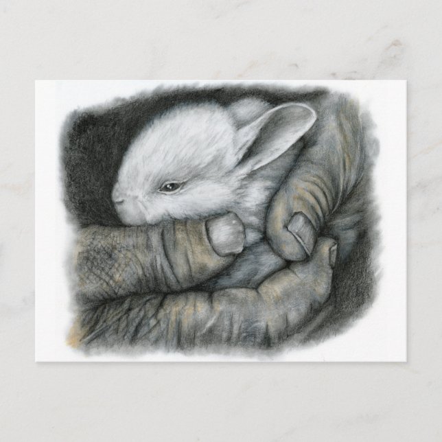 CARTE POSTALE BÉBÉ BUNNY (Devant)