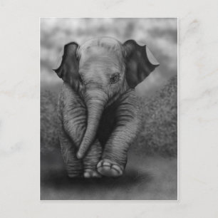 Carte Postale Bébé Elephant
