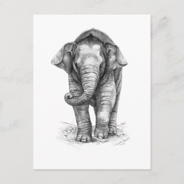 Carte Postale Bébé éléphant dessin par Schukina G046 (Devant)