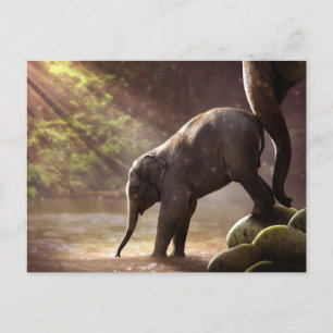 Carte Postale Bébé Eléphant Eau Potable Photo