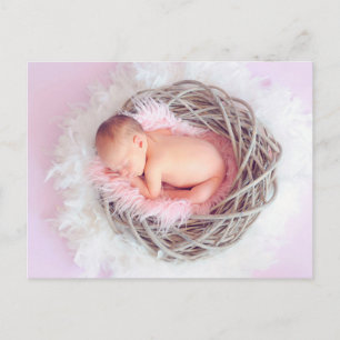 Carte Postale Bébé fille dans son nid