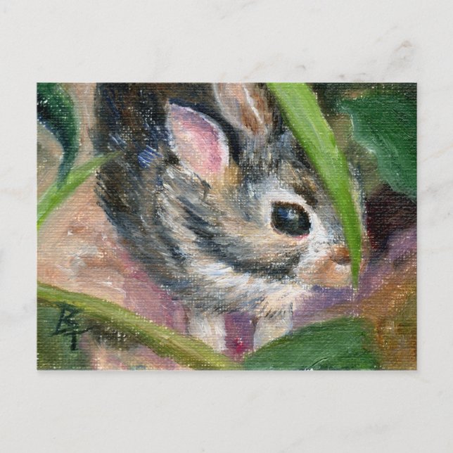 Carte Postale Bébé Lapin Cachage (Devant)