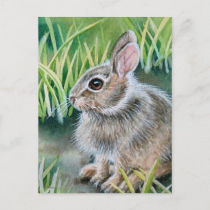 Carte Postale Bébé lapin de coton Aquarelle lapin