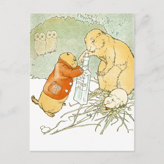 Carte Postale Bébé malade Toux de chien des Prairies (Devant)