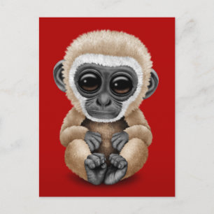 Carte Postale Bébé mignon et curieux Gibbon en rouge