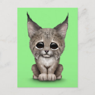 Carte Postale Bébé mignon Lynx Cub sur vert
