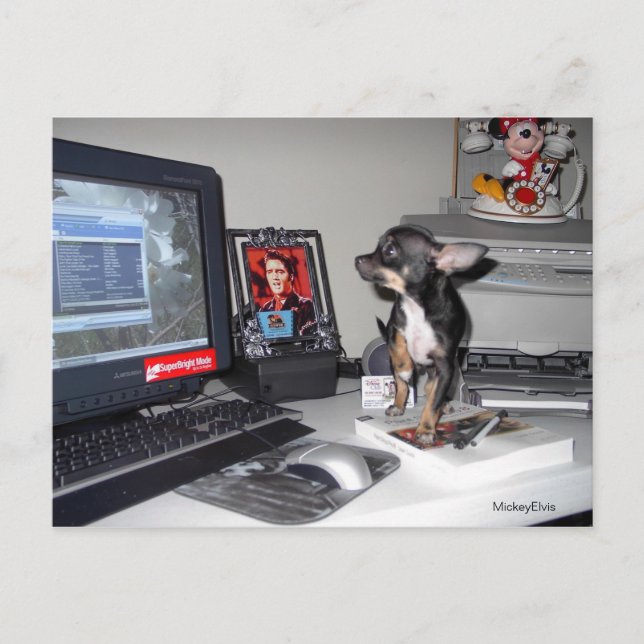 Carte Postale Bébé mignon MickeyElvis 1 (Devant)