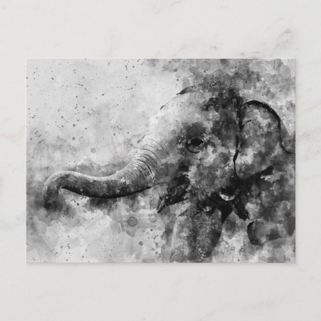 Carte Postale Bébé mou Eléphant Noir et Blanc Aquarelle (Devant)