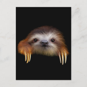 Carte Postale Bébé Sloth