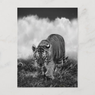 Carte Postale Bébé tigre traquant en noir et blanc