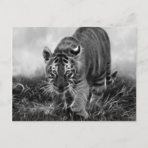 Carte Postale Bébé Tigres en noir et blanc