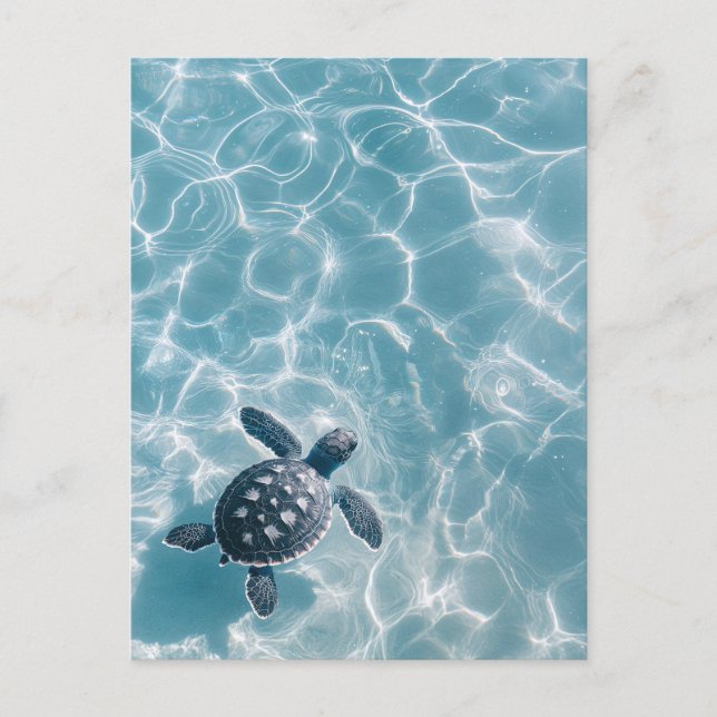 Carte Postale Bébé tortue de mer dans l'eau claire (Devant)
