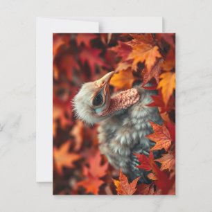 Carte Postale Bébé Turquie en automne