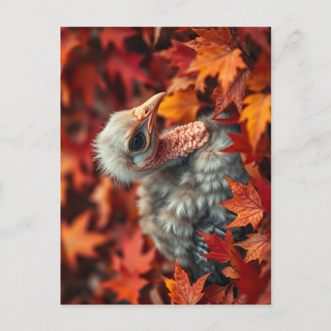 Carte Postale Bébé Turquie en automne (Devant)
