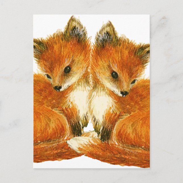 Carte Postale Bébé Twin Foxes (Devant)