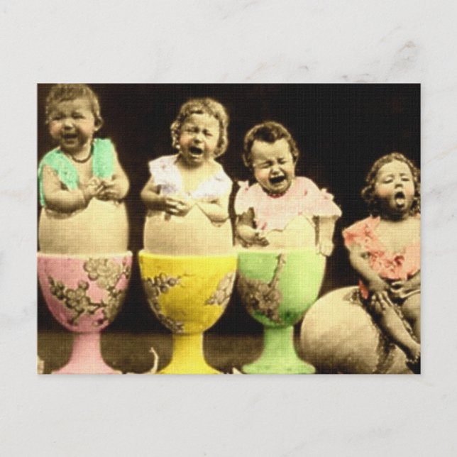 Carte Postale Bébés de la coupe d'oeufs (Devant)