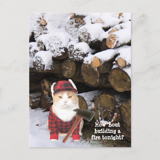 Carte Postale Bécasseau de chat amusant (Devant)