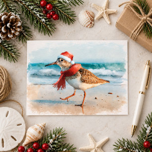 Carte Postale Bécasseau de Noël à la plage