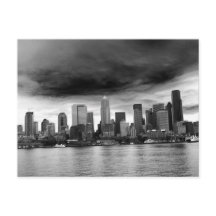 Bécasseau noir et blanc