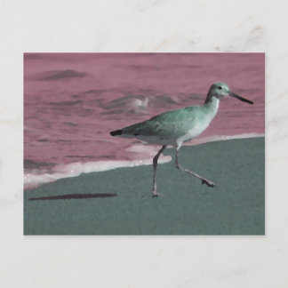 Carte Postale bécasseau vert rouge abstrait sur la plage