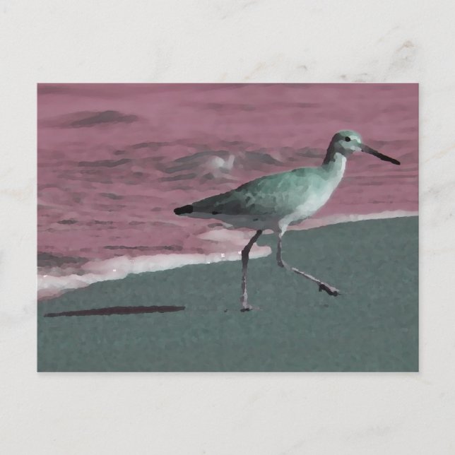 Carte Postale bécasseau vert rouge abstrait sur la plage (Devant)