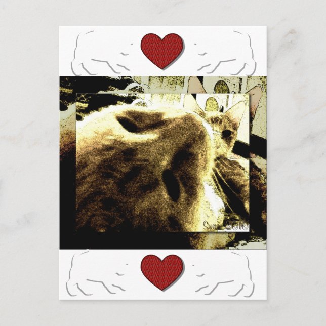 Carte Postale "Bedfellows" par Suan S'Katra (Devant)