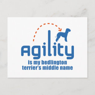Carte Postale Bedlington Terrier