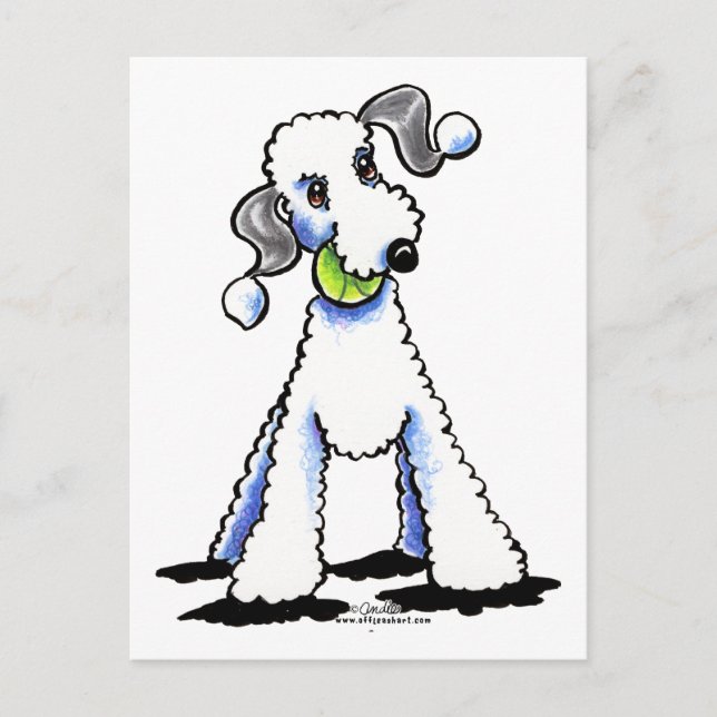 Carte Postale Bedlington Terrier Jouons (Devant)