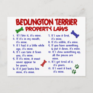 Carte Postale BEDLINGTON TERRIER Lois sur la propriété 2