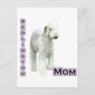 Carte Postale Bedlington Terrier Maman 4