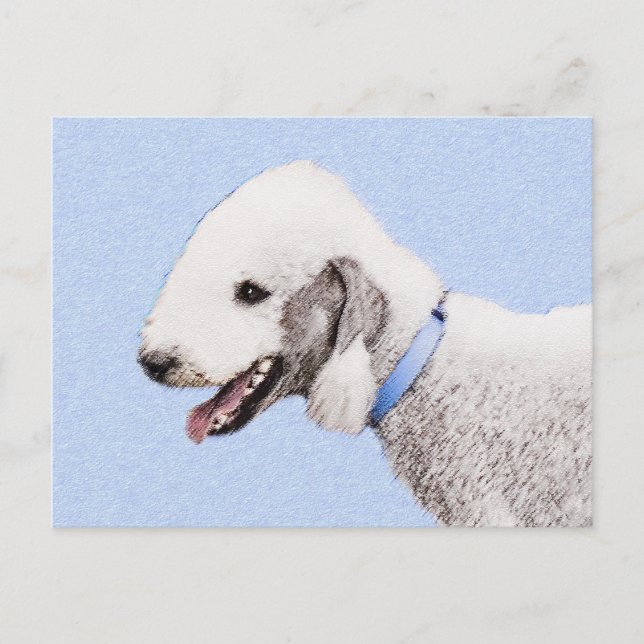 Carte Postale Bedlington Terrier Peinture - Art Chien original (Devant)