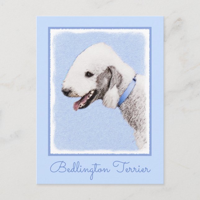 Carte Postale Bedlington Terrier Peinture - Art Chien original (Devant)
