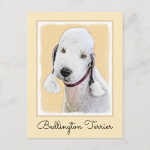 Carte Postale Bedlington Terrier Peinture - Art Chien original