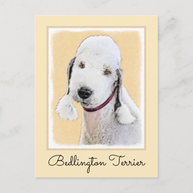 Carte Postale Bedlington Terrier Peinture - Art Chien original (Devant)