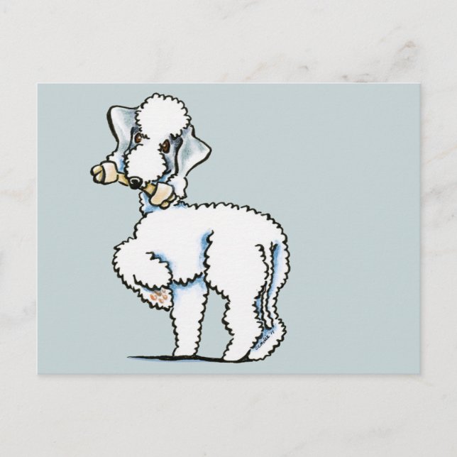 Carte Postale Bedlington Terrier Rosie (Devant)