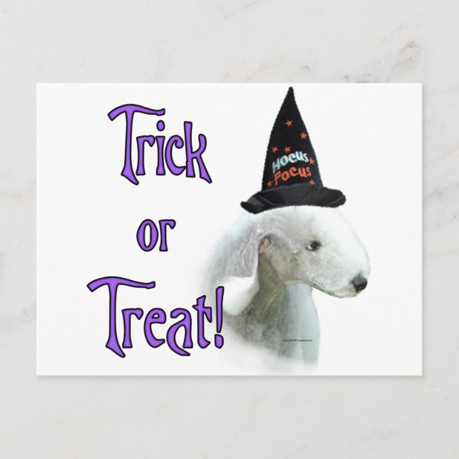 Carte Postale Bedlington Terrier Trick (Devant)