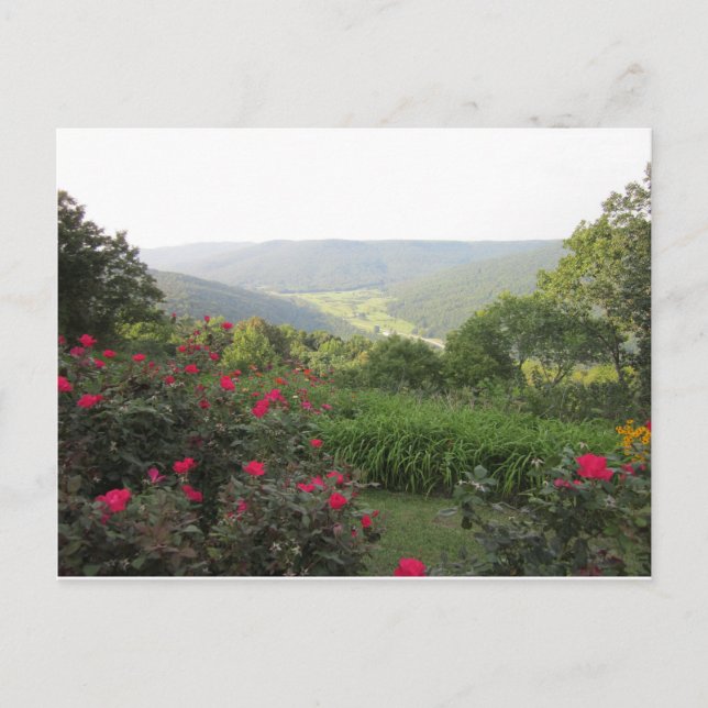 Carte postale Beersheba Springs (Devant)