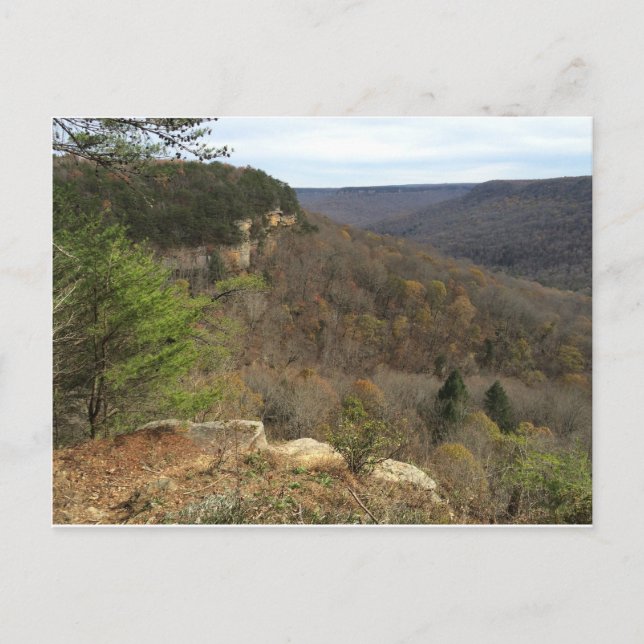 Carte postale Beersheba Springs (Devant)